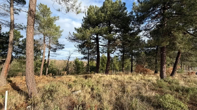 La Rioja - Sojuela - 1314m2
