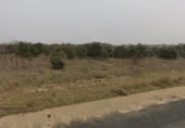 Non-developable land for sale on VA-101, Pesquera de Duero, ref: TR394249 photo