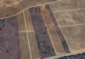 Non-developable land for sale on VA-101, Pesquera de Duero, ref: TR394249 photo
