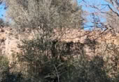 Masia amb terreny en venda a la Autovia de la Mediterrània, l'Ametlla de Mar, ref.: TR394616 foto