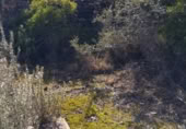 Masia amb terreny en venda a la Autovia de la Mediterrània, l'Ametlla de Mar, ref.: TR394616 foto