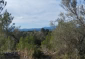 Masia amb terreny en venda a la Autovia de la Mediterrània, l'Ametlla de Mar, ref.: TR394616 foto