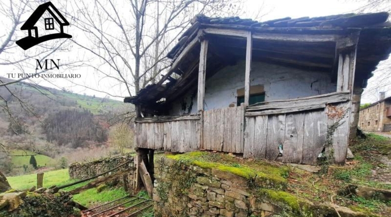 Cantabria - Vega de Pas - 7353m2