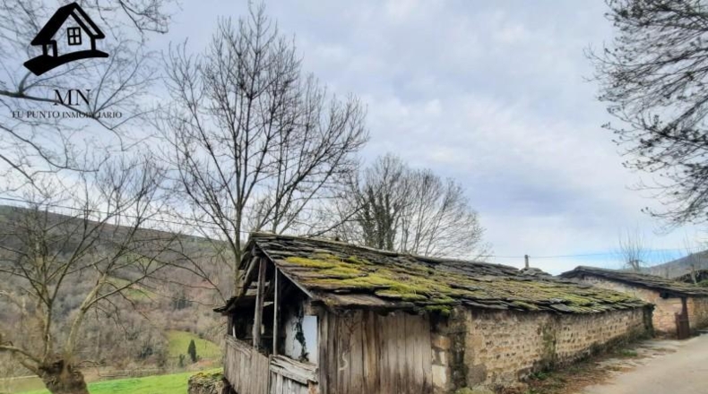 Cantabria - Vega de Pas - 7353m2