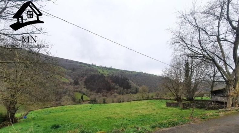 Cantabria - Vega de Pas - 7353m2