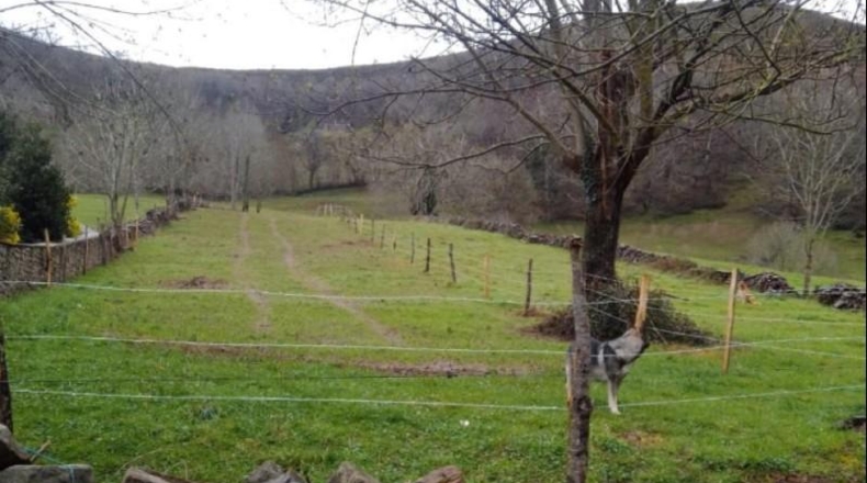 Cantabria - Vega de Pas - 7588m2