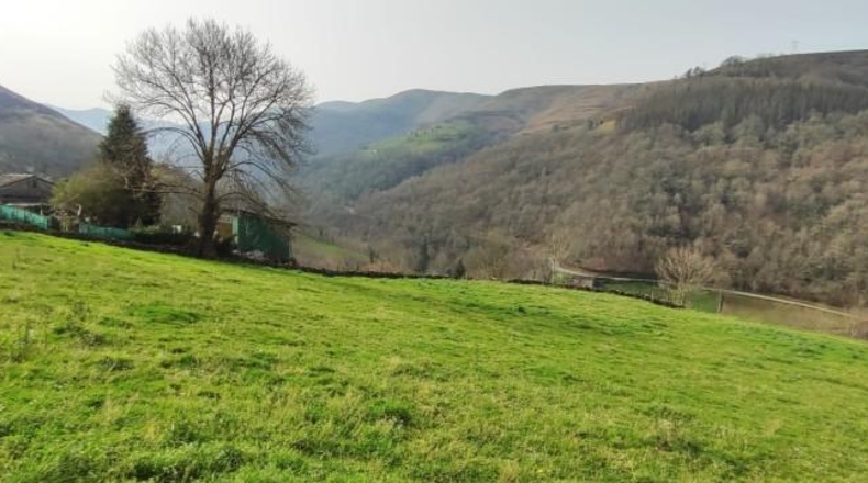 Cantabria - Vega de Pas - 7588m2