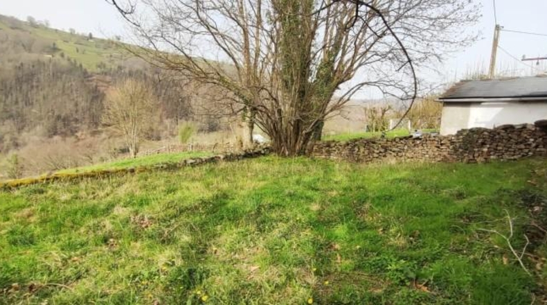 Cantabria - Vega de Pas - 7588m2
