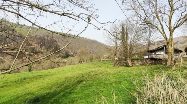 Cantabria - Vega de Pas - 7588m2