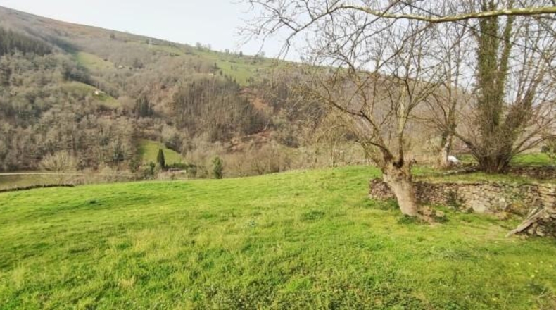 Cantabria - Vega de Pas - 7588m2