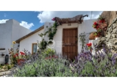 Casa de camp amb terreny en venda a la España, Benalup-Casas Viejas, ref.: TR394887 foto