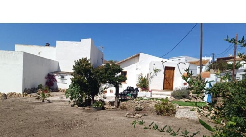 Cadiz - Benalup-Casas Viejas - 387m2