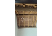 Casa de camp amb terreny en venda a la España, Benalup-Casas Viejas, ref.: TR394887 foto
