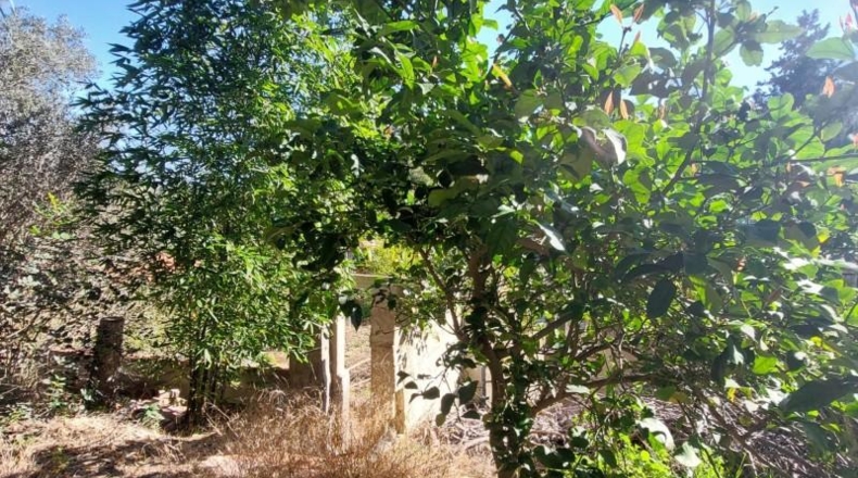 Murcia - Múrcia - 1130m2