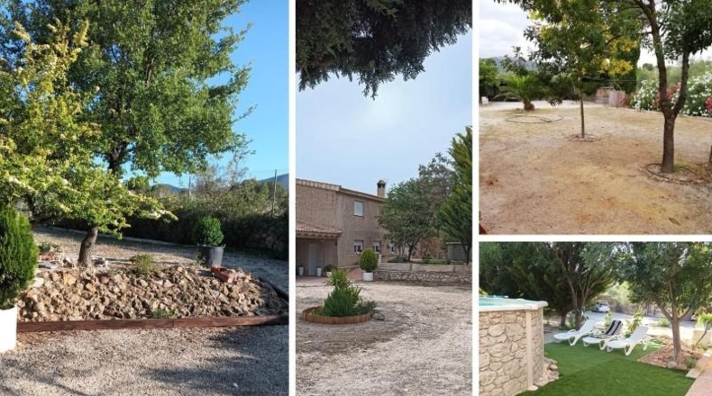 Castellón - Castellnovo - 6200m2