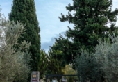 Chalet independiente con terreno en venta en la España, Castellnovo, ref: TR400336 foto