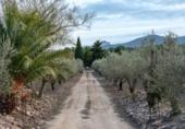 Chalet independiente con terreno en venta en la España, Castellnovo, ref: TR400336 foto