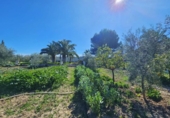 Casa de camp amb terreny en venda a la España, Alacant, ref.: TR394863 foto