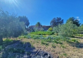 Casa de camp amb terreny en venda a la España, Alacant, ref.: TR394863 foto