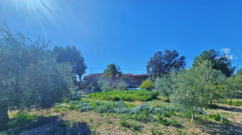Аликанте - Alicante - 3600m2
