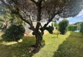 Отдельно стоящий дом с участком на продажу в городе el Vendrell Фото