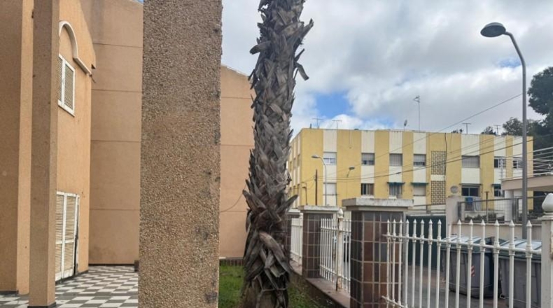 Murcia - San Javier - 574m2
