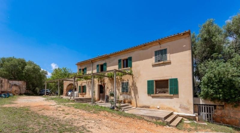 Valencia - Albaida - 121000m2