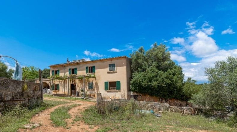 Valencia - Albaida - 121000m2