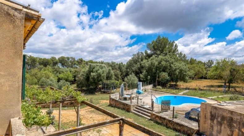 Valencia - Albaida - 121000m2