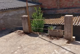 Foto 19