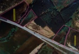 Sils 36000&nbsp;m²