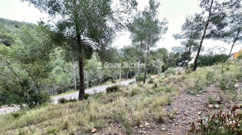 Tarragona - la Bisbal del Penedès - 1064m2