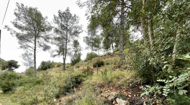 Tarragona - la Bisbal del Penedès - 1064m2