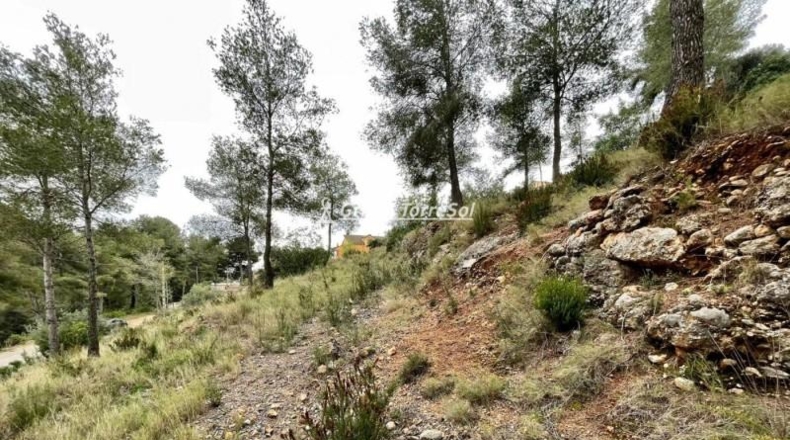 Tarragona - la Bisbal del Penedès - 1064m2