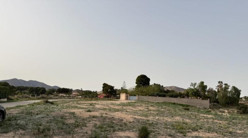 Alicante - Dolores - 10000m2