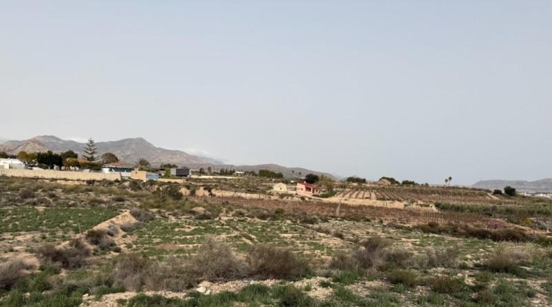 Alicante - Dolores - 10000m2