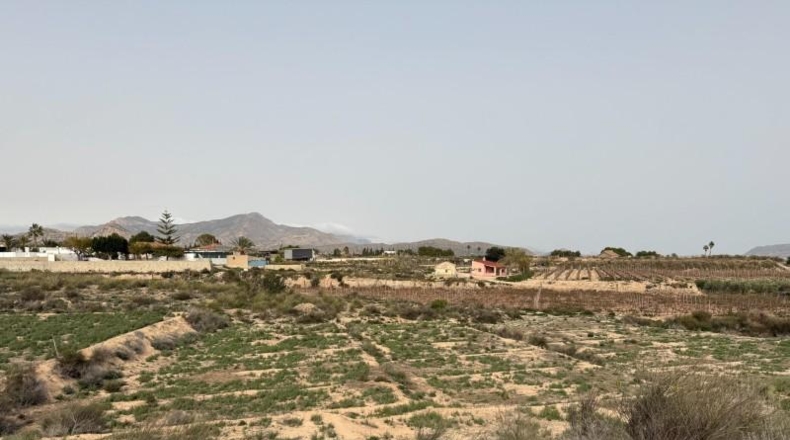 Alicante - Dolores - 10000m2