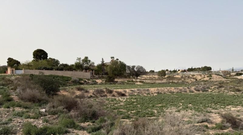 Alicante - Dolores - 10000m2