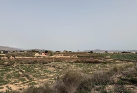 Novelda 10000&nbsp;m²