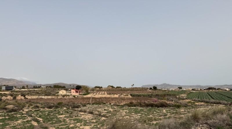 Alicante - Dolores - 10000m2