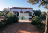 Xalet independent amb terreny en venda a la España, Montijo, ref.: TR400943 foto