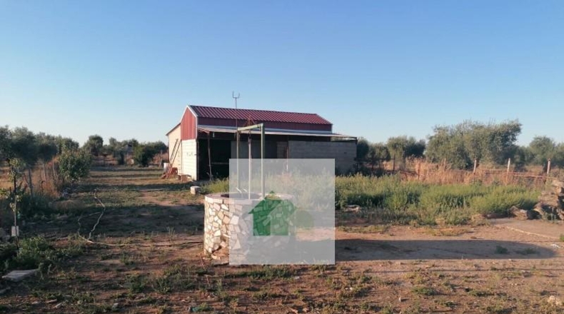 Сарагоса - Osera de Ebro - 2928m2