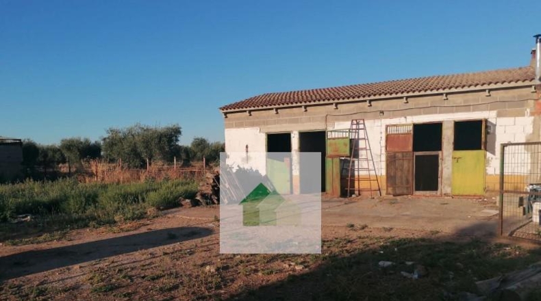 Сарагоса - Osera de Ebro - 2928m2