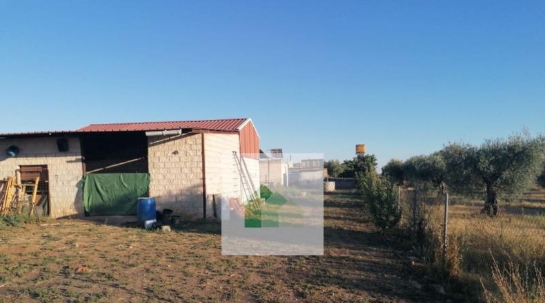 Сарагоса - Osera de Ebro - 2928m2