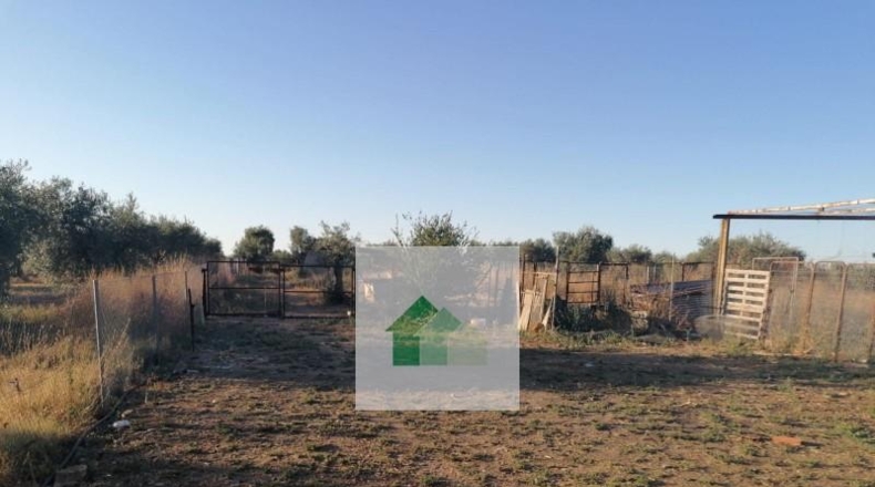 Сарагоса - Osera de Ebro - 2928m2