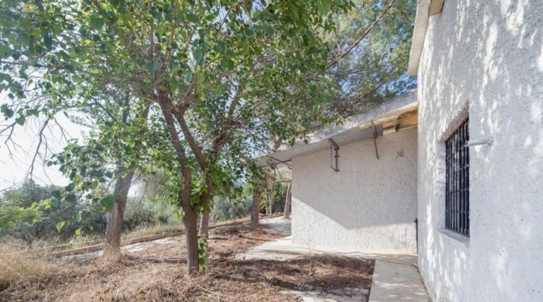 Alicante - Dolores - 2143m2