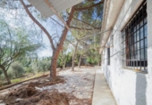 Chalet independiente con terreno en venta en la España, Dolores, ref: TR400961 foto