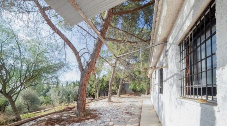 Alicante - Dolores - 2143m2