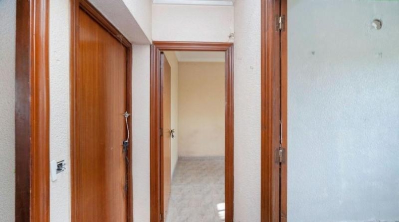 Alicante - Dolores - 2143m2
