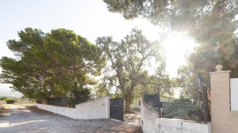 Alicante - Dolores - 2143m2